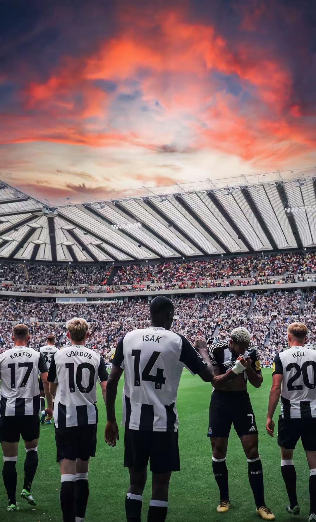 纽卡斯尔联进行大手术,全力保级争胜的简单介绍 纽卡斯尔联进行大手术,全力保级争胜的简单介绍